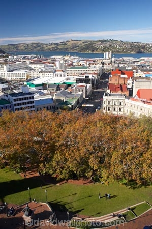autuminal;autumn;autumn-colour;autumn-colours;autumnal;City-Centre;color;colors;colour;colours;deciduous;Dunedin;fall;N.Z.;New-Zealand;NZ;Ocatgon;Regent-Theatre;Robbie-Burns-Statue;Robert-Burns-Statue;S.I.;season;seasonal;seasons;SI;South-Is.;South-Island;The-Octagon;tree;trees