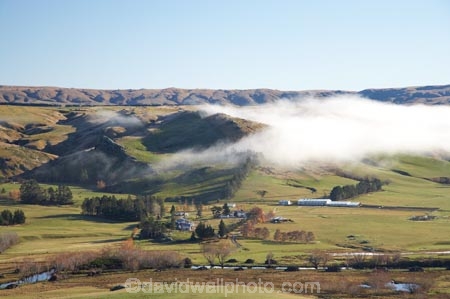 agricultural;agriculture;Central-Otago;Central-Otago-peneplain;country;countryside;Deep-Stream;farm;farming;farmland;farms;field;fields;fog;foggy;fogs;meadow;meadows;mist;mists;misty;N.Z.;New-Zealand;NZ;Otago;Otago-peneplain;paddock;paddocks;pasture;pastures;Rock-and-Pillar-Range;Rocklands-Station;rural;S.I.;SI;South-Is.;South-Island;Strath-Taieri;uiplands;upland