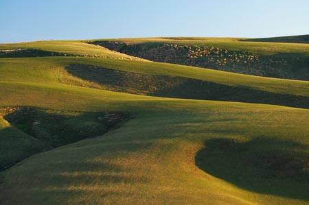 agricultural;agriculture;Central-Otago-peneplain;country;countryside;farm;farming;farmland;farms;field;fields;grass;grassy;green;hill;hills;Maungatua;Maungatuas;meadow;meadows;N.Z.;near-Dunedin;New-Zealand;NZ;Otago;Otago-peneplain;paddock;paddocks;pasture;pastures;Rolling-Farmland;rolling-hills;rural;S.I.;SI;South-Is.;South-Island;uiplands;upland