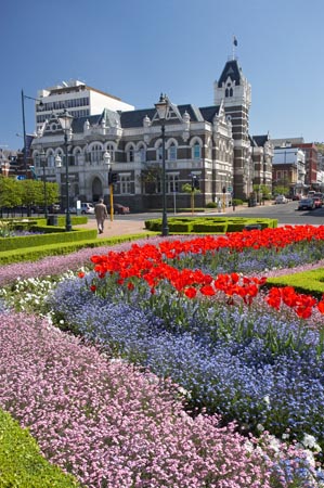 1899;1906;Architect;architecture;bloom;blooming;blooms;building;buildings;color;colorful;colors;colour;colourful;colours;council-gardens;Court;Courts;District-Court;District-Courts;Dunedin;Dunedin-Court;Dunedin-Courts;Dunedin-High-Court;Dunedin-Law-Courts;floral;flower;flower-bed;flower-beds;flower-garden;flower-gardens;flowers;fresh;garden;gardens;grow;growth;heritage;High-Court;High-Courts;Historic;historic-building;historic-buildings;historical;historical-building;historical-buildings;history;John-Campbell;justice;justice-system;law;Law-Court;Law-Courts;legal;N.Z.;New-Zealand;NZ;old;Otago;S.I.;season;seasonal;seasons;SI;South-Is.;South-Island;spring;Spring-Flowers;springtime;tradition;traditional;tulip;tulips