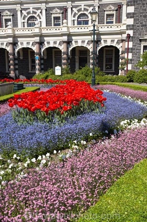 1906;arch;arches;architecture;archway;archways;bloom;blooming;blooms;building;buildings;color;colorful;colors;colour;colourful;colours;council-gardens;Dunedin;Dunedin-Railway-Station;Flemish-Renaissance-style;floral;flower;flower-bed;flower-beds;flower-garden;flower-gardens;flowers;fresh;garden;gardens;George-A-Troup;Gingerbread-George;grow;growth;heritage;historic;historic-building;historic-buildings;historical;historical-building;historical-buildings;history;N.Z.;New-Zealand;NZ;old;Otago;rail-station;rail-stations;railway;railway-station;railway-stations;railways;renew;S.I.;season;seasonal;seasons;SI;South-Is.;South-Island;spring;Spring-Flowers;springtime;tradition;traditional;train-station;train-stations;tulip;tulips