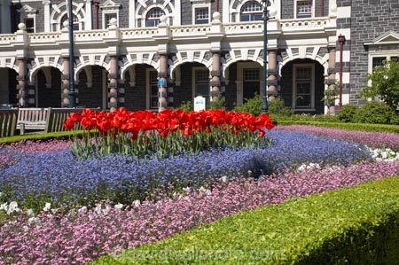1906;arch;arches;architecture;archway;archways;bloom;blooming;blooms;Box-Hedge;box-hedging;building;buildings;color;colorful;colors;colour;colourful;colours;council-gardens;Dunedin;Dunedin-Railway-Station;Flemish-Renaissance-style;floral;flower;flower-bed;flower-beds;flower-garden;flower-gardens;flowers;fresh;garden;gardens;George-A-Troup;Gingerbread-George;grow;growth;heritage;historic;historic-building;historic-buildings;historical;historical-building;historical-buildings;history;N.Z.;New-Zealand;NZ;old;Otago;rail-station;rail-stations;railway;railway-station;railway-stations;railways;renew;S.I.;season;seasonal;seasons;SI;South-Is.;South-Island;spring;Spring-Flowers;springtime;tradition;traditional;train-station;train-stations;tulip;tulips