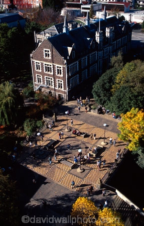 learn;student;blossom;historic;building;buildings;historical;leith;stream;lawn;clock;tower;education;learning;students;scarfies;campus;registry;degree;autumn;fall