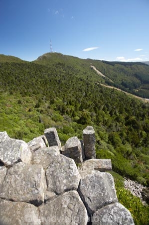 basalt-column;basalt-columns;basalt-formation;basalt-formations;columnar-jointed-basalt;Dunedin;formations;geological;geology;Mount-Cargill;Mount-Holmes;Mt-Cargill;Mt-Holmes;Mt.-Cargill;Mt.-Holmes;N.Z.;native-bush;native-forest;native-forests;New-Zealand;NZ;Otago;rock;rock-column;rock-columns;rock-formation;rock-formations;rock-outcrop;rock-outcrops;rock-tor;rock-torr;rock-torrs;rock-tors;rocks;S.I.;SI;South-Is;South-Island;stone;The-Organ-Pipes;volcanic-column;volcanic-columns;volcanic-formation;volcanic-formations;volcanic-rock