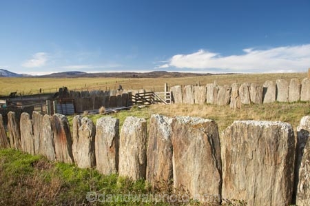 fence;fenceline;fencelines;fences;heritage;historic;historic-place;historic-places;Historic-Sheep-Yard;Historic-Sheep-Yards;historic-site;historic-sites;historical;historical-place;historical-places;historical-site;historical-sites;history;Middlemarch;N.Z.;New-Zealand;NZ;old;Otago;S.I.;sheep-yard;sheep-yards;sheep_yard;sheep_yards;sheepyard;sheepyards;SI;South-Is.;South-Island;standing-stone-sheep-yards-Middlemarch;stock-pen;stock-pens;stock-yard;stock-yards;stock_yard;stock_yards;stockyard;stockyards;stone-sheep-yards;stone-wall;stone-walls;Strath-Taieri;tradition;traditional