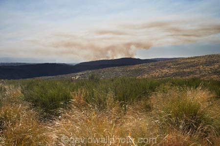 air-pollutants;air-pollution;air-polutants;air-quality;airshed;airsheds;atmosphere;bad-air-quality;bush-fire;bush-fires;carbon-emission;carbon-emissions;carbon-footprint;Dunedin;emission;emissions;emit;environment;fire;fires;Flagstaff;global-warming;greenhouse-gas;greenhouse-gases;high-pollution-day;high-pollution-days;N.Z.;New-Zealand;NZ;Otago;pollute;polluting;pollution;poor-air-quality;S.I.;Scrub-Fire;SI;Silver-Peaks;smog;smoggy;smoke;smokey;South-Is.;South-Island