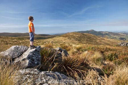above-the-snowline;altitude;boy;boys;child;children;Dunedin;Flagstaff;highland;highlands;hike;hiker;hikers;hiking;hiking-track;hiking-tracks;kid;kids;little-boy;little-boys;N.Z.;New-Zealand;NZ;Otago;Pineapple-Flagstaff-Track;Pineapple-Track;S.I.;SI;snowlines;South-Is.;South-Island;tramp;tramper;trampers;tramping;tramping-tack;tramping-tracks;trek;treker;trekers;treking;trekker;trekkers;trekking;tussock;tussocks;walk;walker;walkers;walking;walking-track;walking-tracks