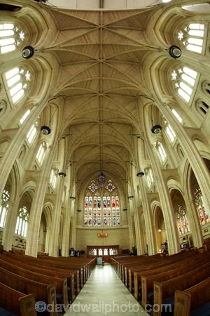 Anglican;arch;arches;archway;archways;building;buildings;cathedral;cathedrals;ceiling;ceilings;christian;christianity;church;churches;dark;Dunedin;faith;fish_eye;fish_eyes;fisheye;fisheyes;heritage;historic;historic-building;historic-buildings;historical;historical-building;historical-buildings;history;inside;interior;N.Z.;New-Zealand;NZ;Octagon;old;Otago;pew;pews;place-of-worship;places-of-worship;religion;religions;religious;roof;rooves;row;rows;S.I.;Saint-Pauls-Cathedral;Saint-Pauls-Cathedral;SI;South-Is;South-Is.;South-Island;St-Pauls-Cathedral;St-Pauls-Cathedral;St.-Pauls-Cathedral;St.-Pauls-Cathedral;The-Octagon;tradition;traditional;wide-angle;wideangle