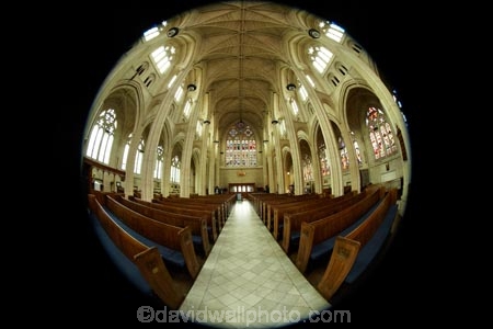 Anglican;arch;arches;archway;archways;building;buildings;cathedral;cathedrals;ceiling;ceilings;christian;christianity;church;churches;dark;Dunedin;faith;fish_eye;fish_eyes;fisheye;fisheyes;heritage;historic;historic-building;historic-buildings;historical;historical-building;historical-buildings;history;inside;interior;N.Z.;New-Zealand;NZ;Octagon;old;Otago;pew;pews;place-of-worship;places-of-worship;religion;religions;religious;roof;rooves;row;rows;S.I.;Saint-Pauls-Cathedral;Saint-Pauls-Cathedral;SI;South-Is;South-Is.;South-Island;St-Pauls-Cathedral;St-Pauls-Cathedral;St.-Pauls-Cathedral;St.-Pauls-Cathedral;The-Octagon;tradition;traditional;wide-angle;wideangle