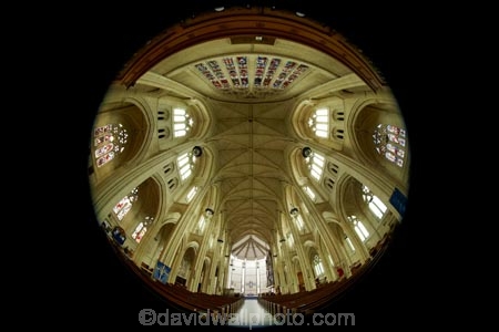 Anglican;arch;arches;archway;archways;building;buildings;cathedral;cathedrals;ceiling;ceilings;christian;christianity;church;churches;dark;Dunedin;faith;fish_eye;fish_eyes;fisheye;fisheyes;heritage;historic;historic-building;historic-buildings;historical;historical-building;historical-buildings;history;inside;interior;N.Z.;New-Zealand;NZ;Octagon;old;Otago;place-of-worship;places-of-worship;religion;religions;religious;roof;rooves;S.I.;Saint-Pauls-Cathedral;Saint-Pauls-Cathedral;SI;South-Is;South-Is.;South-Island;St-Pauls-Cathedral;St-Pauls-Cathedral;St.-Pauls-Cathedral;St.-Pauls-Cathedral;The-Octagon;tradition;traditional;wide-angle;wideangle