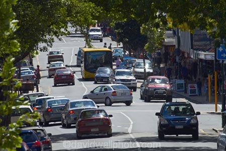 busy;C.B.D;car;cars;CBD;Central-Business-District;commerce;commercial;congestion;Dunedin;George-St;George-St.;George-Street;main-street;N.Z.;New-Zealand;NZ;Otago;pedestrians;people;person;retail;retail-store;retailer;retailers;S.I.;shop;shopper;shoppers;shopping;shops;SI;South-Is;South-Island;store;stores;street-scene;street-scenes;streets;traffic;tree;trees;vehicle;vehicles