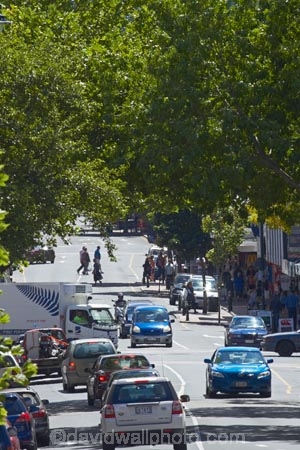 busy;C.B.D;car;cars;CBD;Central-Business-District;commerce;commercial;congestion;Dunedin;George-St;George-St.;George-Street;main-street;N.Z.;New-Zealand;NZ;Otago;pedestrians;people;person;retail;retail-store;retailer;retailers;S.I.;shop;shopper;shoppers;shopping;shops;SI;South-Is;South-Island;store;stores;street-scene;street-scenes;streets;traffic;tree;trees;vehicle;vehicles