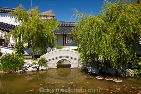 bridge;bridges;Dunedin;footbridge;footbridges;N.Z.;New-Zealand;NZ;Otago;pond;ponds;S.I.;SI;South-Is;South-Island