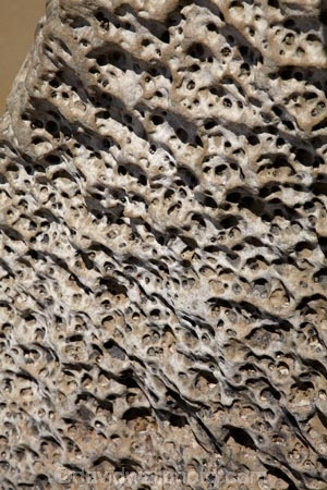 coast;coastal;coastal-erosion;coastline;coastlines;coasts;Dunedin;eroded;erosion;geological;geology;N.Z.;New-Zealand;NZ;Otago;rock;rock-formation;rock-formations;rocks;S.I.;sandstone;SI;South-Is;South-Is.;South-Island;stone;Tunnel-Beach