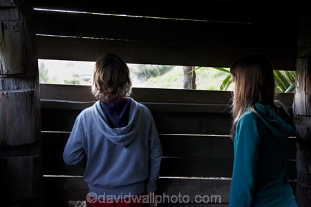 child;children;Dunedin;eco-toruism;eco_tourism;ecotourism;hide;hides;N.Z.;New-Zealand;NZ;Otago;Otago-Peninsula;Penguin-Place;Pipikaretu-Beach;S.I.;SI;South-Is;South-Island;Sth-Is;tourism;tourist;tourists