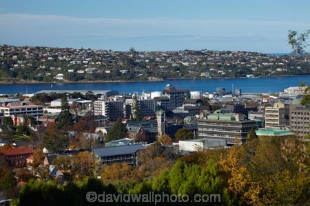 autuminal;autumn;autumn-colour;autumn-colours;autumnal;building;buildings;clock-tower;clock_tower;color;colors;colour;colours;deciduous;Dunedin;education;fall;heritage;historic;historic-building;historic-buildings;historical;historical-building;historical-buildings;history;leaf;leaves;N.Z.;New-Zealand;North-Dunedin;NZ;old;Otago;Otago-Harbor;Otago-Harbour;Otago-University;registry-building;S.I.;season;seasonal;seasons;SI;South-Is;South-Is.;South-Island;Sth-Is;tertiary-education;tradition;traditional;tree;trees;universities;university;University-of-Otago