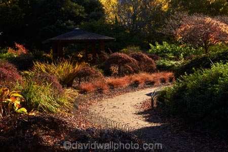 autuminal;autumn;autumn-colour;autumn-colours;autumn-tree;autumn-trees;autumnal;Botanic-Garden;Botanic-Gardens;Botanical-Garden;Botanical-Gardens;city-garden;city-gardens;color;colors;colour;colours;council-garden;council-gardens;deciduous;Dunedin;Dunedin-Botanic-Garden;Dunedin-Botanic-Gardens;Dunedin-Botanical-Garden;Dunedin-Botanical-Gardens;Dunedin-Gardens;fall;garden;gardens;leaf;leaves;N.Z.;New-Zealand;North-Dunedin;NZ;Otago;plant;plants;S.I.;season;seasonal;seasons;SI;South-Is;South-Is.;South-Island;Sth-Is;tree;trees