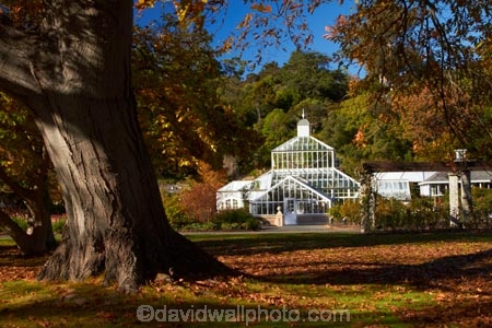 autuminal;autumn;autumn-colour;autumn-colours;autumn-tree;autumn-trees;autumnal;Botanic-Garden;Botanic-Gardens;Botanical-Garden;Botanical-Gardens;city-garden;city-gardens;color;colors;colour;colours;council-garden;council-gardens;deciduous;Dunedin;Dunedin-Botanic-Garden;Dunedin-Botanic-Gardens;Dunedin-Botanical-Garden;Dunedin-Botanical-Gardens;Dunedin-Gardens;fall;garden;gardens;glass-house;glass-houses;glasshouse;glasshouses;leaf;leaves;N.Z.;New-Zealand;North-Dunedin;NZ;oak-leaf;oak-leaves;oak-tree;oak-trees;oaks;Otago;plant;plants;S.I.;season;seasonal;seasons;SI;South-Is;South-Is.;South-Island;Sth-Is;tree;trees
