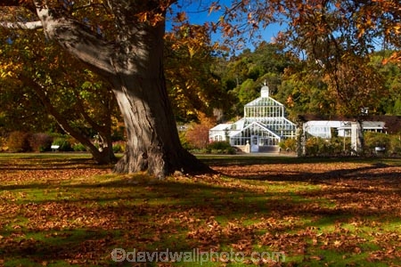 autuminal;autumn;autumn-colour;autumn-colours;autumn-tree;autumn-trees;autumnal;Botanic-Garden;Botanic-Gardens;Botanical-Garden;Botanical-Gardens;city-garden;city-gardens;color;colors;colour;colours;council-garden;council-gardens;deciduous;Dunedin;Dunedin-Botanic-Garden;Dunedin-Botanic-Gardens;Dunedin-Botanical-Garden;Dunedin-Botanical-Gardens;Dunedin-Gardens;fall;garden;gardens;glass-house;glass-houses;glasshouse;glasshouses;leaf;leaves;N.Z.;New-Zealand;North-Dunedin;NZ;oak-leaf;oak-leaves;oak-tree;oak-trees;oaks;Otago;plant;plants;S.I.;season;seasonal;seasons;SI;South-Is;South-Is.;South-Island;Sth-Is;tree;trees