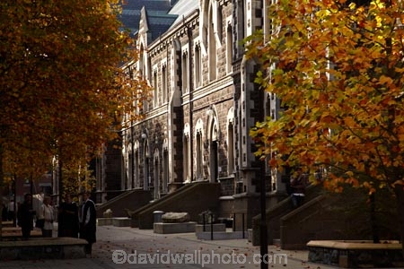 autuminal;autumn;autumn-colour;autumn-colours;autumnal;building;buildings;color;colors;colour;colours;deciduous;Dunedin;education;fall;heritage;historic;historic-building;historic-buildings;historical;historical-building;historical-buildings;history;leaf;leaves;N.Z.;New-Zealand;North-Dunedin;NZ;old;Otago;Otago-University;registry-building;S.I.;season;seasonal;seasons;SI;South-Is;South-Is.;South-Island;Sth-Is;tertiary-education;tradition;traditional;tree;trees;universities;university;University-of-Otago