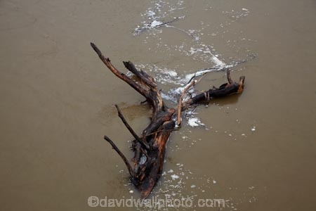 bad-weather;dead-tree;deluge;Dunedin;flood;flood-water;flood-waters;flooding;floods;floodwater;floodwaters;high-water;inundate;N.Z.;New-Zealand;NZ;on-flood;Otago;Outram;Outram-Glen;river;rivers;S.I.;SI;South-Is.;South-Island;swollen-river;Taieri;Taieri-Plains;Taieri-River;tree;trees;weather;wet