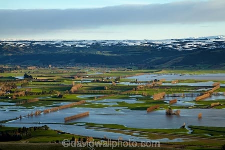 agricultural;agriculture;Allanton;bad-weather;country;countryside;crop;crops;deluge;Dunedin;extreme-weather;farm;farming;farmland;farms;field;fields;flood;flood-water;flood-waters;flooded-Taieri-River;flooding;floods;floodwater;floodwaters;high-water;horticulture;inundate;Maungatua;Maungatuas;meadow;meadows;Mosgiel;N.Z.;New-Zealand;NZ;on-flood;Otago;paddock;paddocks;pasture;pastures;river;rivers;rural;S.I.;shelter-belt;shelter-belts;shelter_belt;shelter_belts;shelterbelt;shelterbelts;SI;snow;snowy;South-Is;South-Is.;South-Island;Sth-Is;swollen-river;Taieri;Taieri-Plain;Taieri-Plains;Taieri-River;Taieri-River-in-flood;The-Maungatua-Range;The-Maungatuas;water;weather;wet;wind-break;wind-breaks;wind_break;wind_breaks;windbreak;windbreaks;winter;wintery