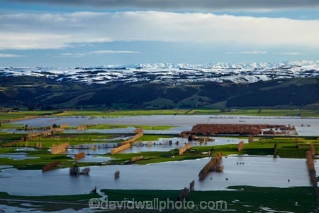 agricultural;agriculture;Allanton;bad-weather;country;countryside;crop;crops;deluge;Dunedin;extreme-weather;farm;farming;farmland;farms;field;fields;flood;flood-water;flood-waters;flooded-Taieri-River;flooding;floods;floodwater;floodwaters;high-water;horticulture;inundate;Maungatua;Maungatuas;meadow;meadows;Mosgiel;N.Z.;New-Zealand;NZ;on-flood;Otago;paddock;paddocks;pasture;pastures;river;rivers;rural;S.I.;shelter-belt;shelter-belts;shelter_belt;shelter_belts;shelterbelt;shelterbelts;SI;snow;snowy;South-Is;South-Is.;South-Island;Sth-Is;swollen-river;Taieri;Taieri-Plain;Taieri-Plains;Taieri-River;Taieri-River-in-flood;The-Maungatua-Range;The-Maungatuas;water;weather;wet;wind-break;wind-breaks;wind_break;wind_breaks;windbreak;windbreaks;winter;wintery