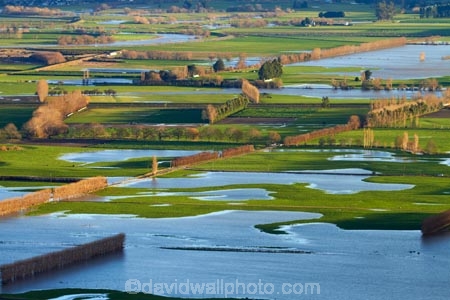 agricultural;agriculture;Allanton;bad-weather;country;countryside;crop;crops;deluge;Dunedin;extreme-weather;farm;farming;farmland;farms;field;fields;flood;flood-water;flood-waters;flooded-Taieri-River;flooding;floods;floodwater;floodwaters;high-water;horticulture;inundate;meadow;meadows;Mosgiel;N.Z.;New-Zealand;NZ;on-flood;Otago;paddock;paddocks;pasture;pastures;river;rivers;rural;S.I.;shelter-belt;shelter-belts;shelter_belt;shelter_belts;shelterbelt;shelterbelts;SI;South-Is;South-Is.;South-Island;Sth-Is;swollen-river;Taieri;Taieri-Plain;Taieri-Plains;Taieri-River;Taieri-River-in-flood;water;weather;wet;wind-break;wind-breaks;wind_break;wind_breaks;windbreak;windbreaks;winter;wintery