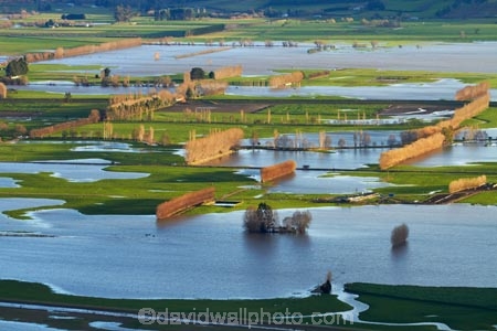 agricultural;agriculture;Allanton;bad-weather;country;countryside;crop;crops;deluge;Dunedin;extreme-weather;farm;farming;farmland;farms;field;fields;flood;flood-water;flood-waters;flooded-Taieri-River;flooding;floods;floodwater;floodwaters;high-water;horticulture;inundate;meadow;meadows;Mosgiel;N.Z.;New-Zealand;NZ;on-flood;Otago;paddock;paddocks;pasture;pastures;river;rivers;rural;S.I.;shelter-belt;shelter-belts;shelter_belt;shelter_belts;shelterbelt;shelterbelts;SI;South-Is;South-Is.;South-Island;Sth-Is;swollen-river;Taieri;Taieri-Plain;Taieri-Plains;Taieri-River;Taieri-River-in-flood;water;weather;wet;wind-break;wind-breaks;wind_break;wind_breaks;windbreak;windbreaks;winter;wintery