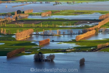 agricultural;agriculture;Allanton;bad-weather;country;countryside;crop;crops;deluge;Dunedin;extreme-weather;farm;farming;farmland;farms;field;fields;flood;flood-water;flood-waters;flooded-Taieri-River;flooding;floods;floodwater;floodwaters;high-water;horticulture;inundate;meadow;meadows;Mosgiel;N.Z.;New-Zealand;NZ;on-flood;Otago;paddock;paddocks;pasture;pastures;river;rivers;rural;S.I.;shelter-belt;shelter-belts;shelter_belt;shelter_belts;shelterbelt;shelterbelts;SI;South-Is;South-Is.;South-Island;Sth-Is;swollen-river;Taieri;Taieri-Plain;Taieri-Plains;Taieri-River;Taieri-River-in-flood;water;weather;wet;wind-break;wind-breaks;wind_break;wind_breaks;windbreak;windbreaks;winter;wintery