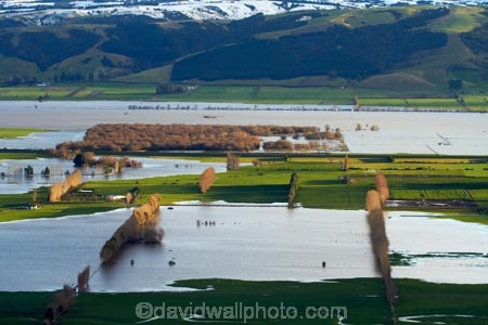 agricultural;agriculture;Allanton;bad-weather;country;countryside;crop;crops;deluge;Dunedin;extreme-weather;farm;farming;farmland;farms;field;fields;flood;flood-water;flood-waters;flooded-Taieri-River;flooding;floods;floodwater;floodwaters;high-water;horticulture;inundate;meadow;meadows;Mosgiel;N.Z.;New-Zealand;NZ;on-flood;Otago;paddock;paddocks;pasture;pastures;river;rivers;rural;S.I.;shelter-belt;shelter-belts;shelter_belt;shelter_belts;shelterbelt;shelterbelts;SI;South-Is;South-Is.;South-Island;Sth-Is;swollen-river;Taieri;Taieri-Plain;Taieri-Plains;Taieri-River;Taieri-River-in-flood;water;weather;wet;wind-break;wind-breaks;wind_break;wind_breaks;windbreak;windbreaks;winter;wintery