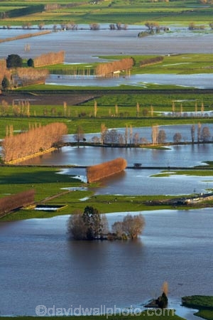 agricultural;agriculture;Allanton;bad-weather;country;countryside;crop;crops;deluge;Dunedin;extreme-weather;farm;farming;farmland;farms;field;fields;flood;flood-water;flood-waters;flooded-Taieri-River;flooding;floods;floodwater;floodwaters;high-water;horticulture;inundate;meadow;meadows;Mosgiel;N.Z.;New-Zealand;NZ;on-flood;Otago;paddock;paddocks;pasture;pastures;river;rivers;rural;S.I.;shelter-belt;shelter-belts;shelter_belt;shelter_belts;shelterbelt;shelterbelts;SI;South-Is;South-Is.;South-Island;Sth-Is;swollen-river;Taieri;Taieri-Plain;Taieri-Plains;Taieri-River;Taieri-River-in-flood;water;weather;wet;wind-break;wind-breaks;wind_break;wind_breaks;windbreak;windbreaks;winter;wintery