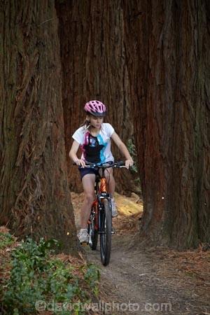 bicycle;bicycles;bike;bike-track;bike-tracks;bike-trail;bike-trails;bikes;child;children;cycle;cycle-track;cycle-tracks;cycle-trail;cycle-trails;cycler;cyclers;cycles;cycleway;cycleways;cyclist;cyclists;Dunedin;excercise;excercising;girl;girls;mountain-bike;mountain-biker;mountain-bikers;mountain-bikes;mtn-bike;mtn-biker;mtn-bikers;mtn-bikes;N.Z.;New-Zealand;NZ;Otago;people;person;push-bike;push-bikes;push_bike;push_bikes;pushbike;pushbikes;redwood-tree;redwood-trees;Redwoods-mountain-bike-track;S.I.;SI;South-Is;South-Is.;South-Island;Sth-Is;tree-trunk;tree-trunks;Waikari-Creek;mountain;biking;cycling;