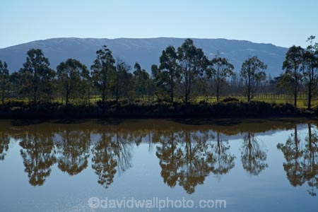 calm;Dunedin;eucalypt;eucalypt-tree;eucalypt-trees;eucalyptis;eucalypts;eucalyptus;eucalyptus-tree;eucalyptus-trees;gum;gum-tree;gum-trees;gums;Henley;Maungatua;Maungatuas;N.Z.;New-Zealand;NZ;Otago;placid;quiet;reflected;reflection;reflections;river;rivers;S.I.;serene;SI;smooth;South-Is;South-Island;still;Taieri-Plain;Taieri-Plains;Taieri-River;tranquil;tree;trees;water