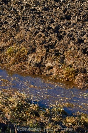 agricultural;agriculture;brook;brooks;country;countryside;creek;creeks;dirt;dirty;drain;drainage-channel;drainage-channels;drainage-ditch;drainage-ditches;drains;Dunedin;farm;farming;farmland;farms;field;fields;meadow;meadows;mud;muddy;N.Z.;New-Zealand;NZ;Otago;paddock;paddocks;pasture;pastures;pugged;pugged-pastured;pugging;riparian-area;riparian-areas;riparian-buffer;riparian-buffer-zone;riparian-buffer-zones;riparian-buffers;riparian-strip;riparian-strips;riparian-zone;riparian-zones;rural;S.I.;SI;South-Is;South-Island;stock-pugging;stream;streams;Taieri-Plain;Taieri-Plains;unfenced;water;watercourse;watercouses;waterway;waterways