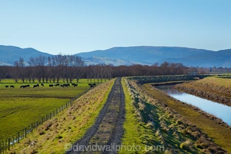 agricultural;agriculture;brook;brooks;country;countryside;creek;creeks;dike;dikes;drain;drainage-channel;drainage-channels;drainage-ditch;drainage-ditches;drains;Dunedin;dyke;dykes;farm;farming;farmland;farms;field;fields;flood-bank;flood-banks;flood-channel;flood-channels;flood_bank;flood_banks;floodbank;floodbanks;levee;levees;meadow;meadows;N.Z.;New-Zealand;NZ;Otago;paddock;paddocks;pasture;pastures;riparian-area;riparian-areas;riparian-buffer;riparian-buffer-zone;riparian-buffer-zones;riparian-buffers;riparian-strip;riparian-strips;riparian-zone;riparian-zones;river;rivers;rural;S.I.;SI;Silver-Stream;Silverstream;South-Is;South-Island;stop-bank;stop-banks;stop_bank;stop_banks;stopbank;stopbanks;stream;streams;Taieri-Plain;Taieri-Plains;water;watercourse;watercouses;waterway;waterways