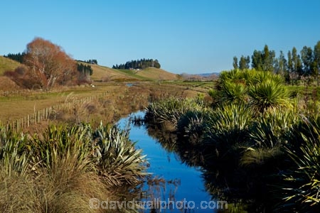 agricultural;agriculture;brook;brooks;calm;country;countryside;creek;creeks;drain;drainage-channel;drainage-channels;drainage-ditch;drainage-ditches;drains;Dunedin;farm;farming;farmland;farms;field;fields;meadow;meadows;N.Z.;New-Zealand;NZ;Otago;paddock;paddocks;pasture;pastures;placid;planted-riparian-strip;quiet;reflected;reflection;reflections;riparian-area;riparian-areas;riparian-buffer;riparian-buffer-zone;riparian-buffer-zones;riparian-buffers;riparian-strip;riparian-strips;riparian-zone;riparian-zones;rural;S.I.;serene;SI;smooth;South-Is;South-Island;still;stream;streams;Taieri-Plain;Taieri-Plains;tranquil;water;watercourse;watercouses;waterway;waterways