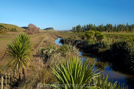agricultural;agriculture;brook;brooks;country;countryside;creek;creeks;drain;drainage-channel;drainage-channels;drainage-ditch;drainage-ditches;drains;Dunedin;farm;farming;farmland;farms;field;fields;meadow;meadows;N.Z.;New-Zealand;NZ;Otago;paddock;paddocks;pasture;pastures;planted-riparian-strip;riparian-area;riparian-areas;riparian-buffer;riparian-buffer-zone;riparian-buffer-zones;riparian-buffers;riparian-strip;riparian-strips;riparian-zone;riparian-zones;rural;S.I.;SI;South-Is;South-Island;stream;streams;Taieri-Plain;Taieri-Plains;water;watercourse;watercouses;waterway;waterways
