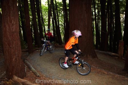 bicycle;bicycles;bike;bike-track;bike-tracks;bike-trail;bike-trails;bikes;child;children;cycle;cycle-track;cycle-tracks;cycle-trail;cycle-trails;cycler;cyclers;cycles;cycleway;cycleways;cyclist;cyclists;Dunedin;excercise;excercising;girl;girls;mountain-bike;mountain-biker;mountain-bikers;mountain-bikes;mtn-bike;mtn-biker;mtn-bikers;mtn-bikes;N.Z.;New-Zealand;NZ;Otago;people;person;push-bike;push-bikes;push_bike;push_bikes;pushbike;pushbikes;redwood-tree;redwood-trees;Redwoods-mountain-bike-track;S.I.;SI;South-Is;South-Is.;South-Island;Sth-Is;tree-trunk;tree-trunks;Waikari-Creek