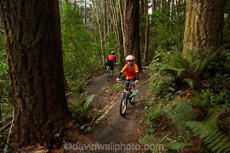 bicycle;bicycles;bike;bike-track;bike-tracks;bike-trail;bike-trails;bikes;child;children;cycle;cycle-track;cycle-tracks;cycle-trail;cycle-trails;cycler;cyclers;cycles;cycleway;cycleways;cyclist;cyclists;Dunedin;excercise;excercising;girl;girls;mountain-bike;mountain-biker;mountain-bikers;mountain-bikes;mtn-bike;mtn-biker;mtn-bikers;mtn-bikes;N.Z.;New-Zealand;NZ;Otago;people;person;push-bike;push-bikes;push_bike;push_bikes;pushbike;pushbikes;redwood-tree;redwood-trees;Redwoods-mountain-bike-track;S.I.;SI;South-Is;South-Is.;South-Island;Sth-Is;tree-trunk;tree-trunks;Waikari-Creek;mountain;biking;cycling;