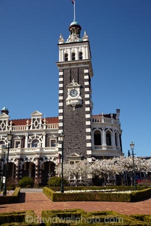 1906;architectural;architecture;bloom;blooming;blooms;blossom;blossoming;blossoms;building;buildings;clock;clock-tower;clock-towers;Dunedin;Dunedin-Railway-Station;Flemish-Renaissance-style;fresh;George-A-Troup;Gingerbread-George;grow;growth;heritage;Historic;historic-building;historic-buildings;historical;historical-building;historical-buildings;history;N.Z.;New-Zealand;NZ;old;Otago;rail-station;rail-stations;railroad;railroads;railway;railway-station;railway-stations;railways;renew;roof;rooves;S.I.;season;seasonal;seasons;SI;South-Is;South-Is.;South-Island;spring;springtime;Sth-Is;tradition;traditional;train-station;train-stations;transport;transportation