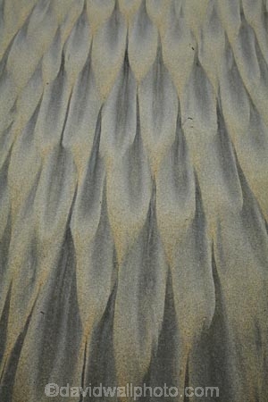 beach;beaches;coast;coastal;coastline;coastlines;coasts;Dunedin;N.Z.;New-Zealand;Otago;Otago-Peninsula;pattern;patterns;S.I.;sand;sand-pattern;sand-patterns;Sandfly-Bay;sandy;shore;shoreline;shorelines;shores;SI;South-Is;South-Island;Sth-Is;tidal-pattern;tidal-patterns