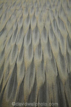 beach;beaches;coast;coastal;coastline;coastlines;coasts;Dunedin;N.Z.;New-Zealand;Otago;Otago-Peninsula;pattern;patterns;S.I.;sand;sand-pattern;sand-patterns;Sandfly-Bay;sandy;shore;shoreline;shorelines;shores;SI;South-Is;South-Island;Sth-Is;tidal-pattern;tidal-patterns
