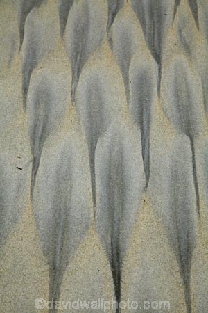 beach;beaches;coast;coastal;coastline;coastlines;coasts;Dunedin;N.Z.;New-Zealand;Otago;Otago-Peninsula;pattern;patterns;S.I.;sand;sand-pattern;sand-patterns;Sandfly-Bay;sandy;shore;shoreline;shorelines;shores;SI;South-Is;South-Island;Sth-Is;tidal-pattern;tidal-patterns