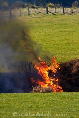 agricultural;agriculture;air-pollution;air-polutants;air-quality;airshed;airsheds;alight;atmosphere;bad-air-quality;bonfire;bonfires;burn;burn-off;burn-offs;burn_off;burn_offs;burned;burning;burning-off;burnoff;burnoffs;burns;burnt;bush-fire;bush-fires;carbon-emission;carbon-emissions;carbon-footprint;common-gorse;country;countryside;danger;dangerous;destruction;discharge;Dunedin;emission;emissions;emit;environment;environmental;farm;farming;farmland;farms;field;fields;fire;fires;flamable;flame;flames;flaming;furze;global-warming;gorse;greenhouse-gas;greenhouse-gases;heat;high-pollution-day;high-pollution-days;horticulture;hot;meadow;meadows;N.Z.;New-Zealand;noxious-plant;noxious-plants;noxious-weed;noxious-weeds;NZ;on-fire;orange;Otago;paddock;paddocks;pasture;pastures;pest;pests;pollute;polluting;pollution;poor-air-quality;rural;S.I.;SI;smog;smoggy;smoke;smokey;South-Is;South-Island;Sth-Is;Strath-Taieri;Ulex-europaeus;weed;weeds;whin;wild-fire;wild-fires;wildfire;wildfires