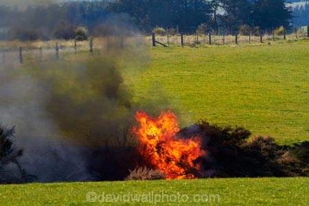 agricultural;agriculture;air-pollution;air-polutants;air-quality;airshed;airsheds;alight;atmosphere;bad-air-quality;bonfire;bonfires;burn;burn-off;burn-offs;burn_off;burn_offs;burned;burning;burning-off;burnoff;burnoffs;burns;burnt;bush-fire;bush-fires;carbon-emission;carbon-emissions;carbon-footprint;common-gorse;country;countryside;danger;dangerous;destruction;discharge;Dunedin;emission;emissions;emit;environment;environmental;farm;farming;farmland;farms;field;fields;fire;fires;flamable;flame;flames;flaming;furze;global-warming;gorse;greenhouse-gas;greenhouse-gases;heat;high-pollution-day;high-pollution-days;horticulture;hot;meadow;meadows;N.Z.;New-Zealand;noxious-plant;noxious-plants;noxious-weed;noxious-weeds;NZ;on-fire;orange;Otago;paddock;paddocks;pasture;pastures;pest;pests;pollute;polluting;pollution;poor-air-quality;rural;S.I.;SI;smog;smoggy;smoke;smokey;South-Is;South-Island;Sth-Is;Strath-Taieri;Ulex-europaeus;weed;weeds;whin;wild-fire;wild-fires;wildfire;wildfires