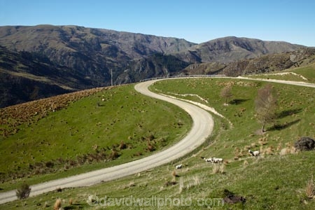 s-bend;s-bends;agricultural;agriculture;bend;bends;corner;corners;country;countryside;curve;curves;Dunedin;farm;farming;farmland;farms;field;fields;gorge;gorges;gravel-road;gravel-roads;Hindon;meadow;meadows;metal-road;metal-roads;metalled-road;metalled-roads;N.Z.;New-Zealand;NZ;Otago;paddock;paddocks;pasture;pastures;road;roads;rural;s-bend;s-bends;S.I.;SI;South-Is;South-Island;Sth-Is;Taieri-Gorge;unpaved-road;unpaved-roads;valley;valleys