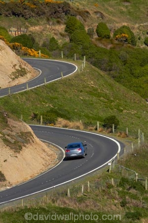 s-bend;s-bends;agricultural;agriculture;automobile;automobiles;bend;bends;car;cars;corner;corners;country;countryside;curve;curves;driving;Dunedin;farm;farming;farmland;farms;field;fields;highway;highways;meadow;meadows;N.Z.;New-Zealand;NZ;open-road;open-roads;Otago;Otago-Peninsula;paddock;paddocks;pasture;pastures;road;road-trip;roads;rural;s-bend;s-bends;S.I.;sedan;sedans;SI;South-Is;South-Island;Sth-Is;Taiaroa-Head;transport;transportation;travel;traveling;travelling;trip;vehicle;vehicles