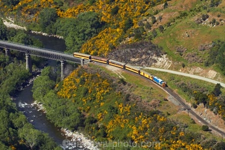 Bloom;bridge;bridges;carriage;carriages;common-gorse;country;countryside;Dunedin;excursion;furze;gorse;gorse-flower;gorse-flowers;Gorse-in-Flower;heritage;Hindon;historic-bridge;historic-bridges;historical-bridge;historical-bridges;invasive-plant-species;N.Z.;New-Zealand;noxious-plant;noxious-plants;noxious-weed;noxious-weeds;NZ;old;Otago;Passenger-Train;Passenger-Trains;rail;rail-bridge;rail-bridges;railroad;railroads;rails;railway;railway-bridge;railway-bridges;railways;river;rivers;rural;S.I.;season;seasonal;seasons;SI;South-Is;South-Is.;South-Island;spring;spring-time;spring_time;springtime;Sth-Is;Taieri;Taieri-Gorge;Taieri-Gorge-Excursion-Train;Taieri-Gorge-Train;Taieri-River;tourism;train;train-bridge;train-bridges;trains;transport;transportation;travel;Ulex-europaeus;weed;weeds;whin;willow-tree;willow-trees;willows;yellow;yellow-flower;yellow-flowers