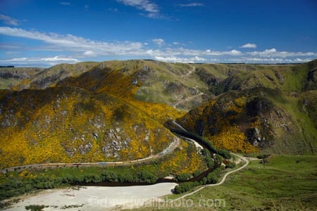 Bloom;carriage;carriages;common-gorse;country;countryside;Dunedin;excursion;furze;gorse;gorse-flower;gorse-flowers;Gorse-in-Flower;heritage;Hindon;invasive-plant-species;N.Z.;New-Zealand;noxious-plant;noxious-plants;noxious-weed;noxious-weeds;NZ;old;Otago;Passenger-Train;Passenger-Trains;rail;railroad;railroads;rails;railway;railways;river;rivers;rural;S.I.;season;seasonal;seasons;SI;South-Is;South-Is.;South-Island;spring;spring-time;spring_time;springtime;Sth-Is;Taieri;Taieri-Gorge;Taieri-Gorge-Excursion-Train;Taieri-Gorge-Train;Taieri-River;tourism;train;trains;transport;transportation;travel;Ulex-europaeus;weed;weeds;whin;yellow;yellow-flower;yellow-flowers